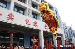 醒狮贺岁，开云官方版网站登录入口-开云(中国)2019年开工大吉