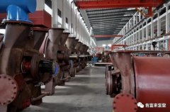 开云官方版网站登录入口-开云(中国)被评为2019年度三水区骨干企业